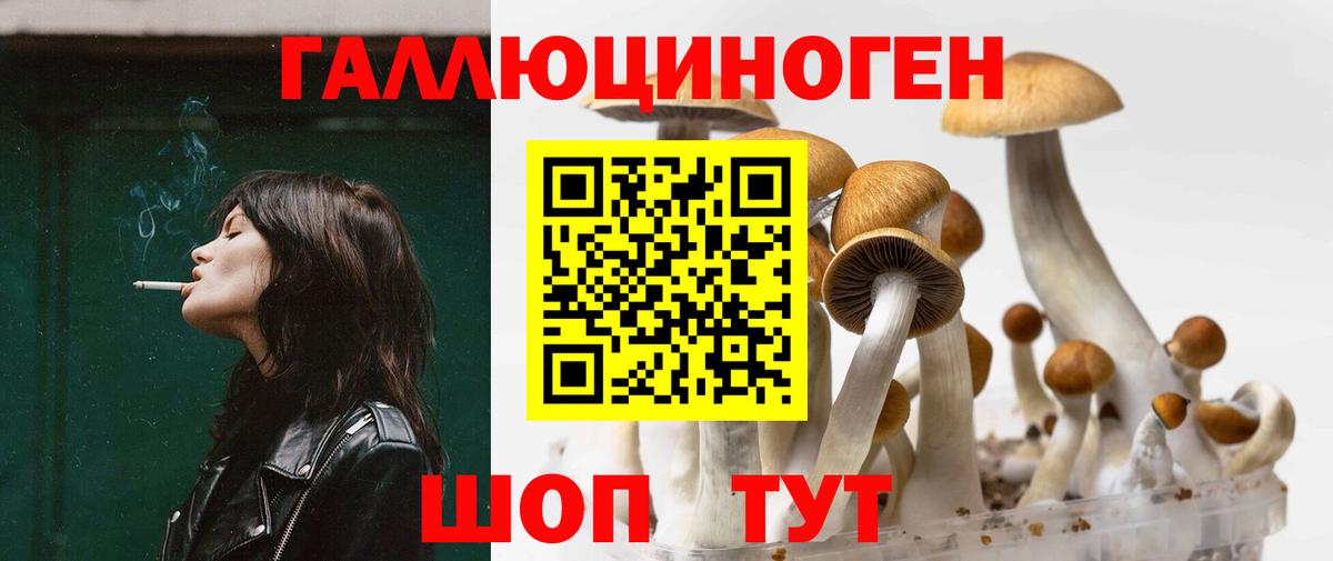 Галлюциногенные грибы GOLDEN TEACHER  Вход с VPN  купить наркотики цена  Нефтеюганск 