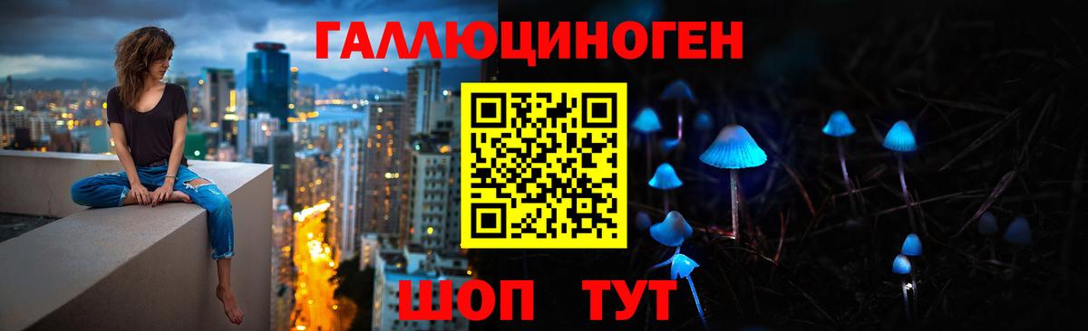 Псилоцибиновые грибы Cubensis Нефтеюганск